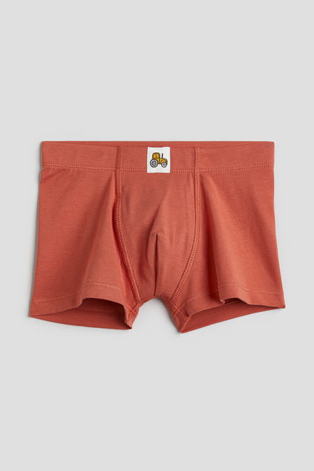 Buy Baoji Boys Underwear, FunkyDog Toddler Underwear Cotton Underwear,Cars  Pattern Men Underwear Boxer Briefs(Pack of 5)(2T-3T) Online at  desertcartSeychelles
